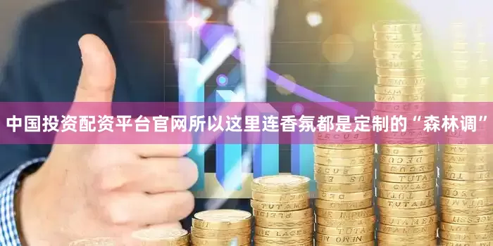 中国投资配资平台官网所以这里连香氛都是定制的“森林调”