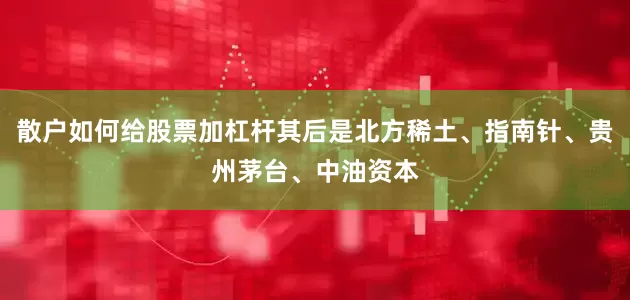 散户如何给股票加杠杆其后是北方稀土、指南针、贵州茅台、中油资本