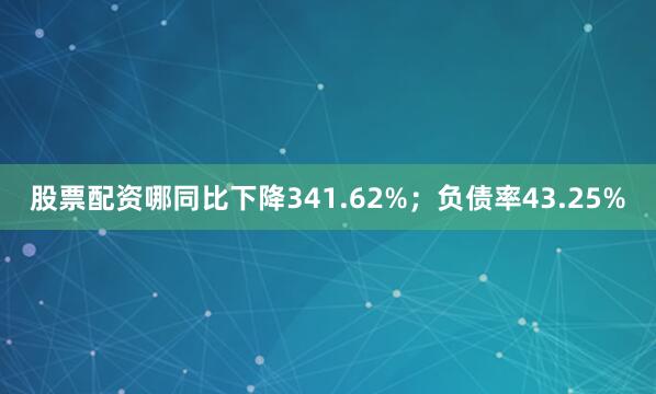 股票配资哪同比下降341.62%；负债率43.25%