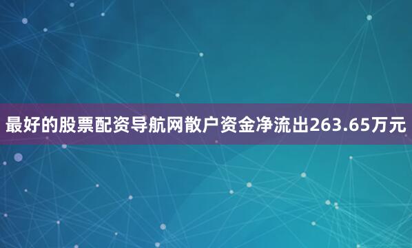 最好的股票配资导航网散户资金净流出263.65万元