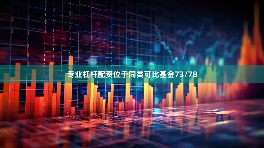 专业杠杆配资位于同类可比基金73/78