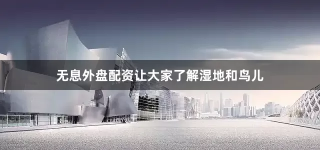 无息外盘配资让大家了解湿地和鸟儿