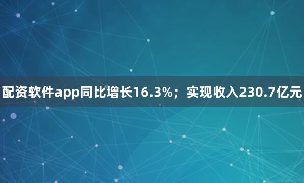 配资软件app同比增长16.3%；实现收入230.7亿元