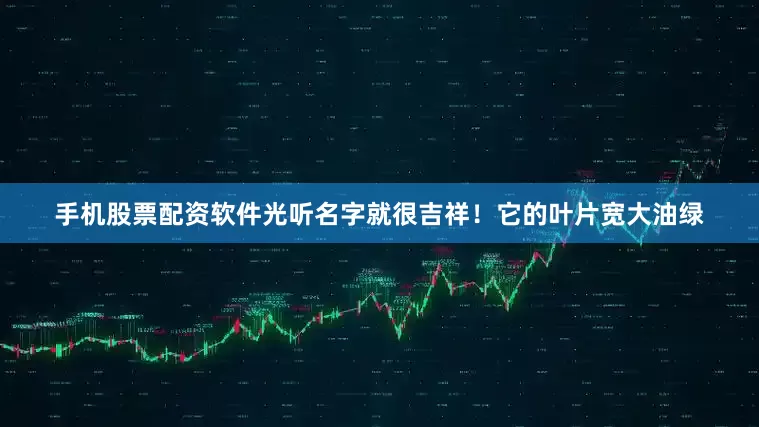 手机股票配资软件光听名字就很吉祥！它的叶片宽大油绿